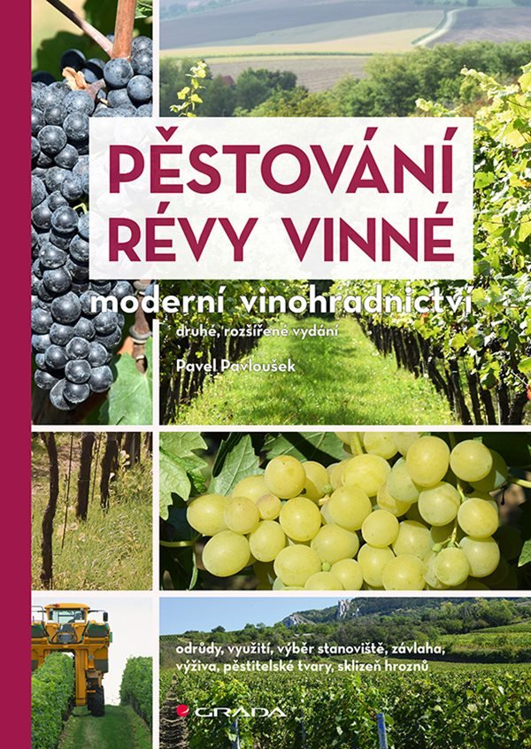 PĚSTOVÁNÍ RÉVY VINNÉ - moderní vinohradnictví 